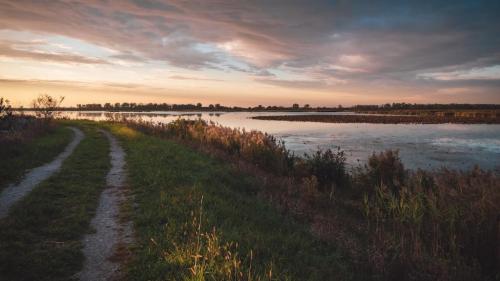 Metzger Marsh