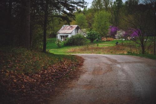 Springtime Cottage