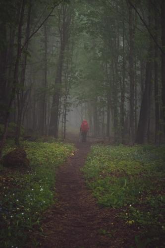 North Country Trail Hiker