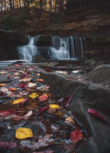 The Great Falls of Tinkers Creek