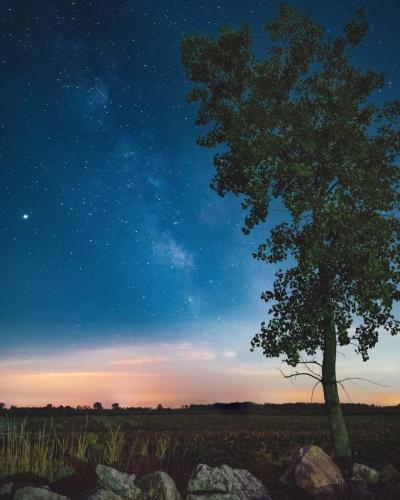 Metzger Marsh At Night